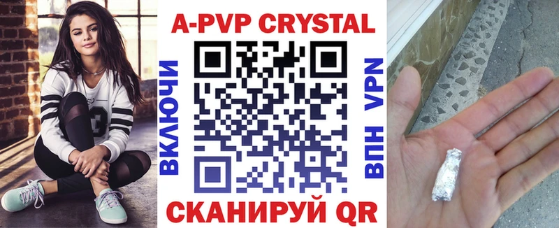 где найти блэк спрут ТОР Alpha PVP СК Ясный