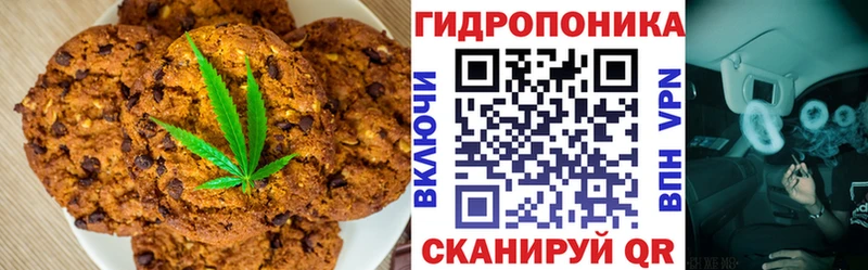 Canna-Cookies марихуана  OMG как войти  Ясный 