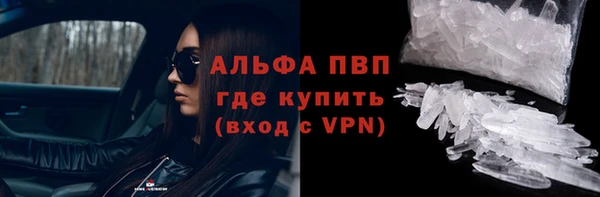 сатива Баксан