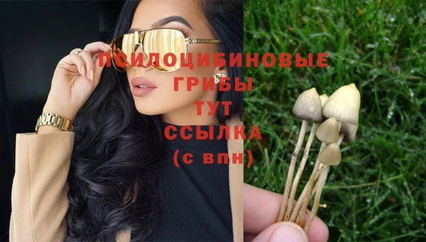 ешки Армянск